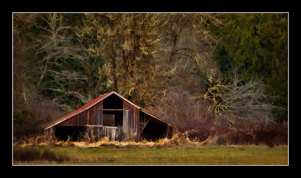 Shack & Trees Re-post