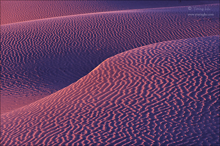 Purple Ripples