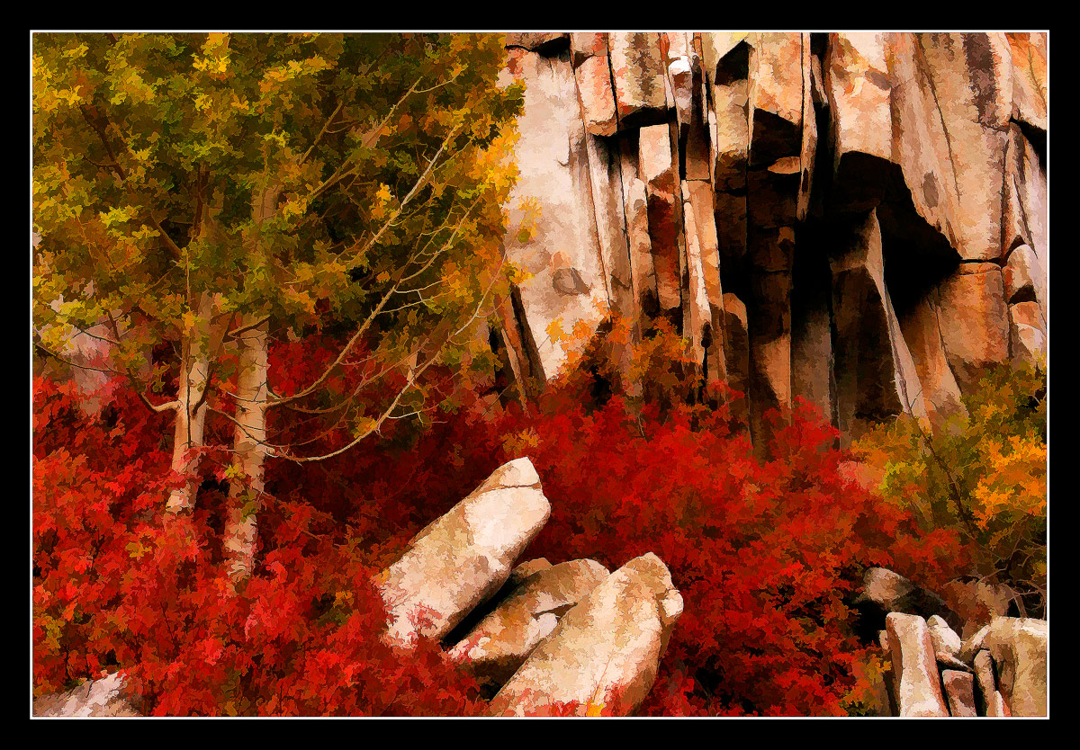 Sierra Fall 2008