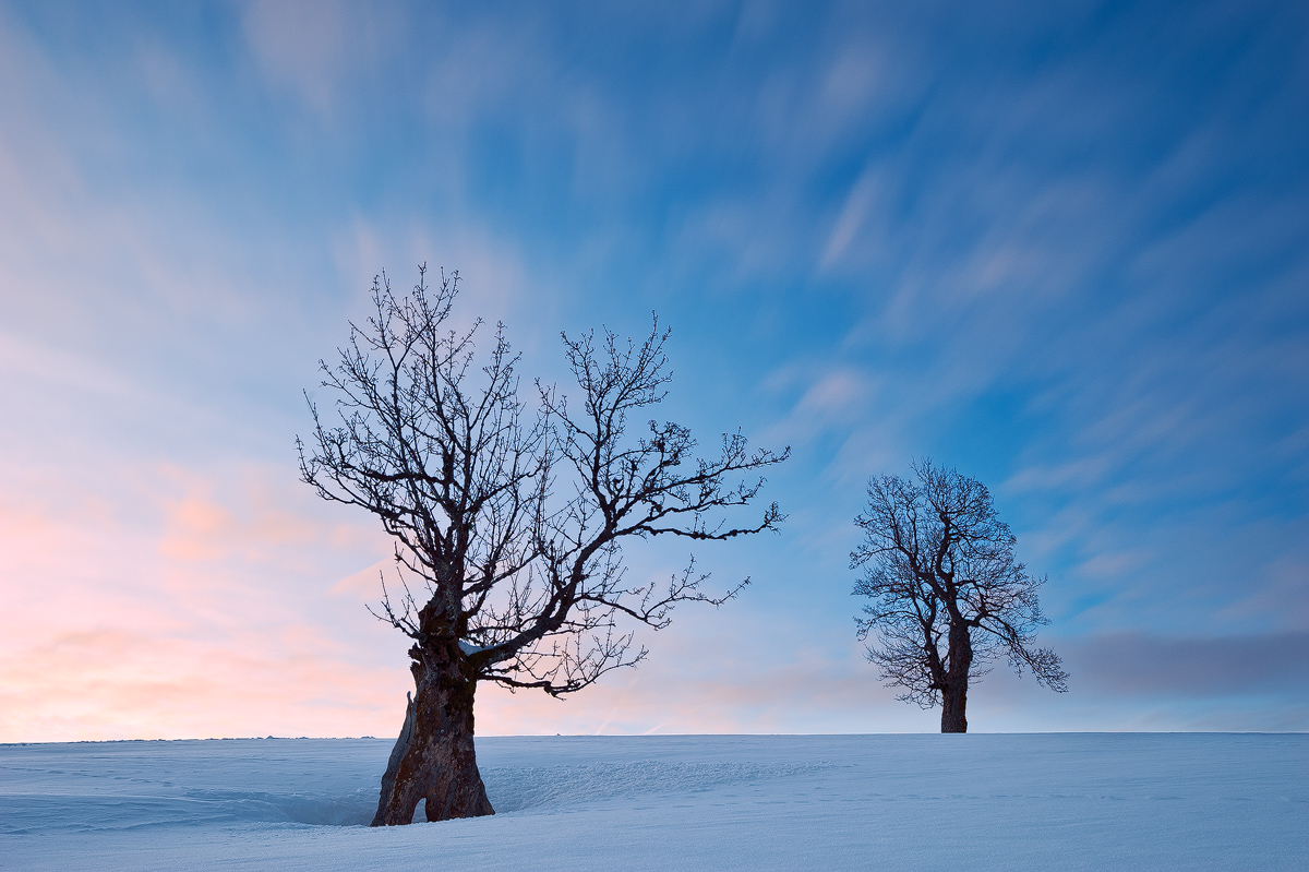 A Winter's Symphony