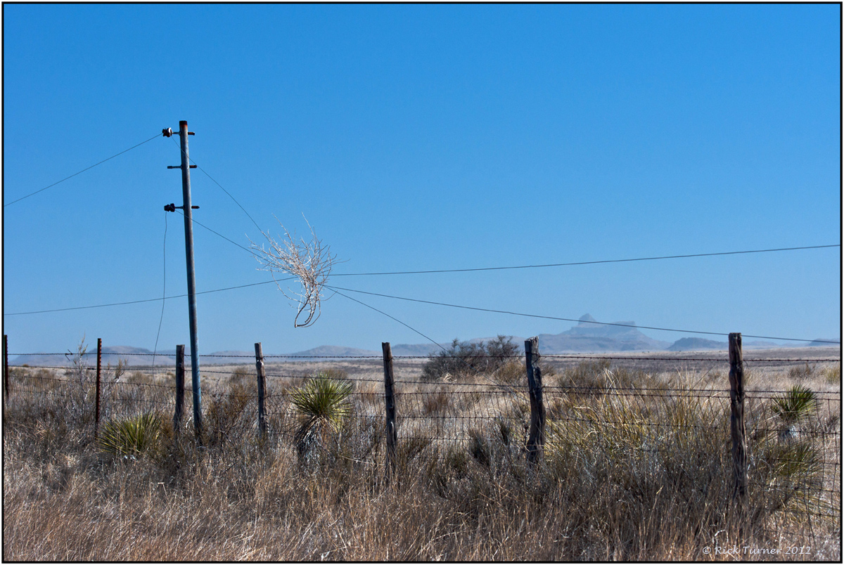 Tumbelweed Connection