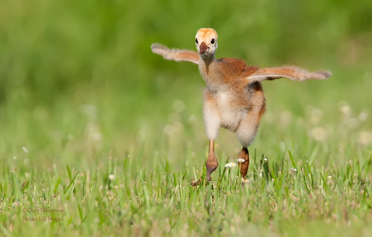 Springtime! Weeeee!