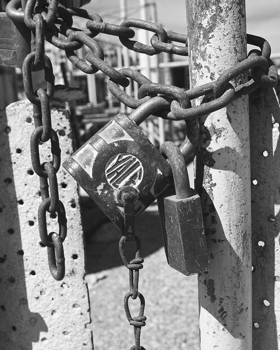 Abandoned by Freedom
