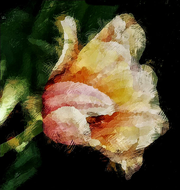 Painted Tulip