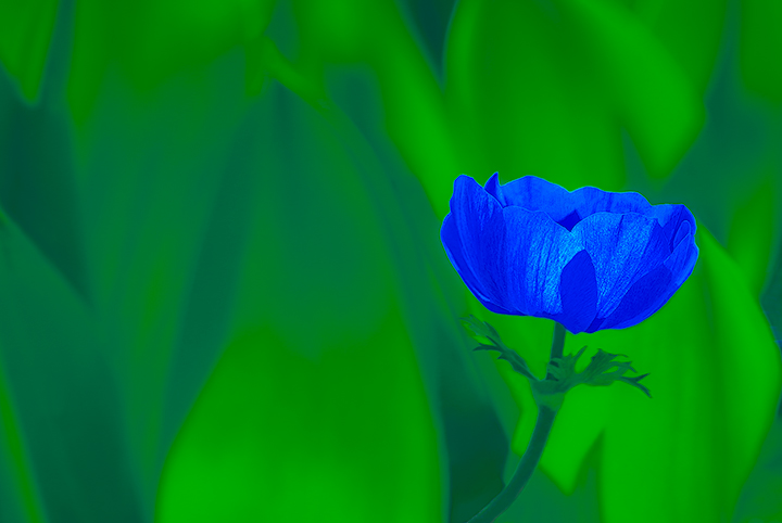 Green and blue