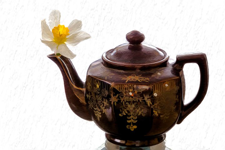 Daffodil in a Tea Pot