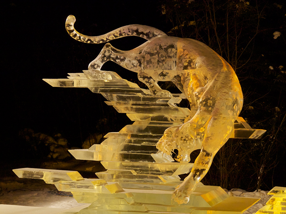 Leopard in Ice
