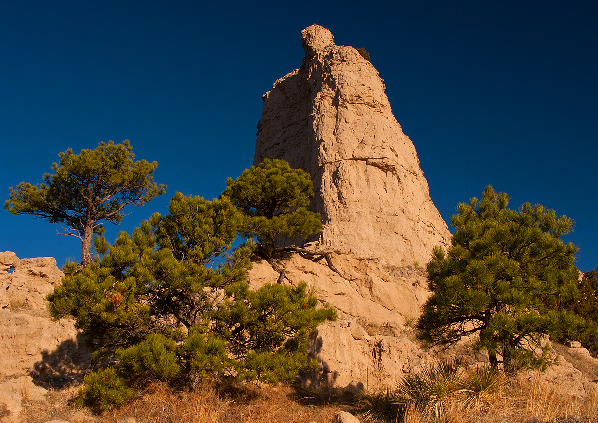 An Upward Look