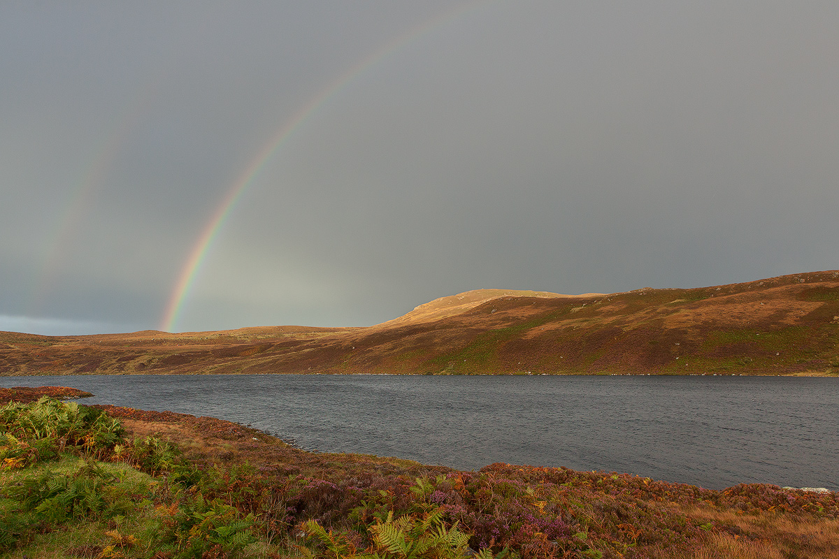 Double Rainbow + Repost