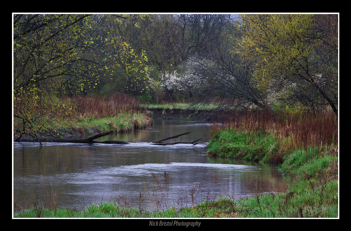 Pine River