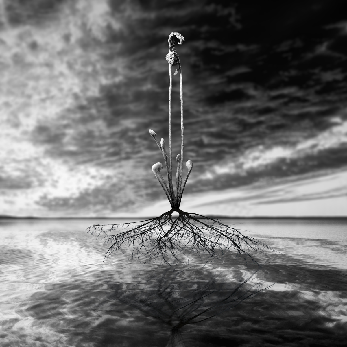 Unfurling