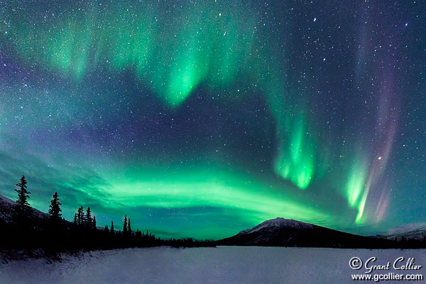 WC #529 Northern Lights