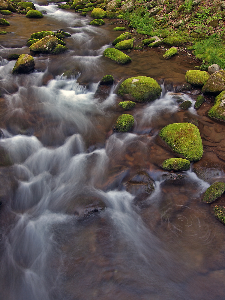 Roaring Fork