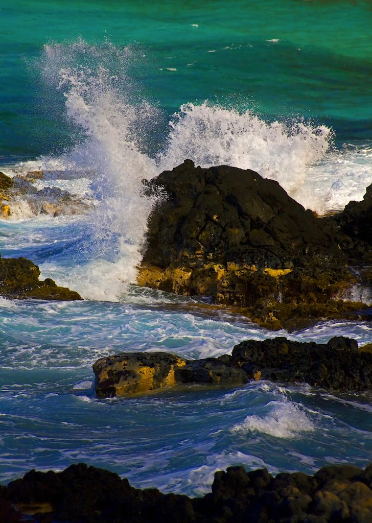 NPWC#529 - Oahu Wave