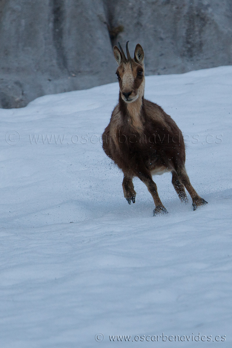 Scratching the ice