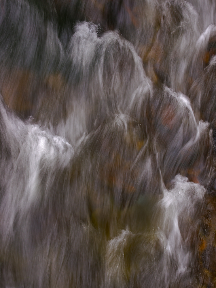 Phantoms of Laurel Creek