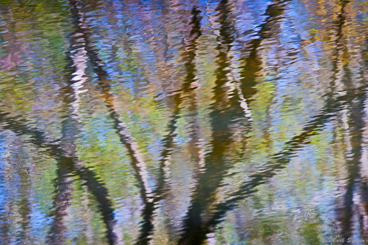 Spring Impressions