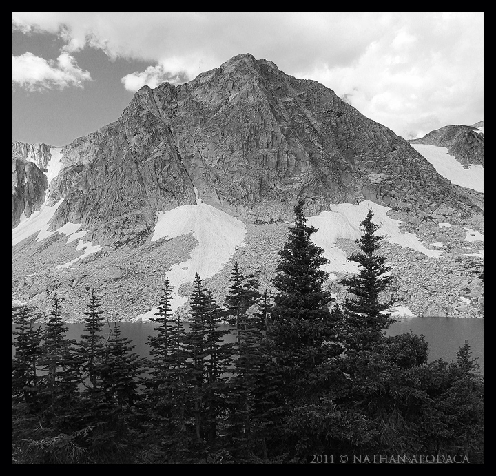 Medicine Bow  NF 2