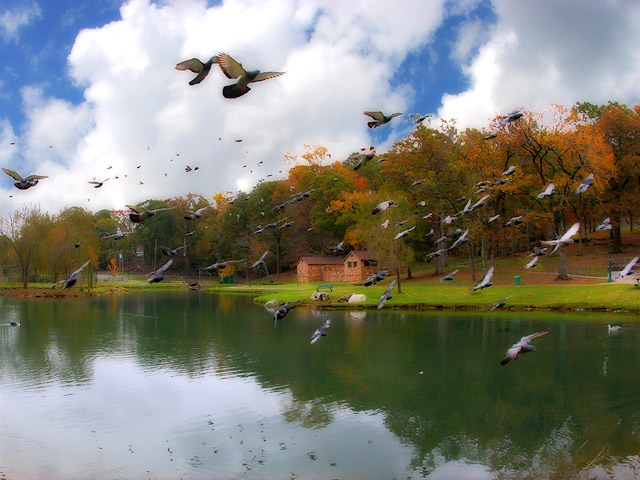 Autumn in the Park