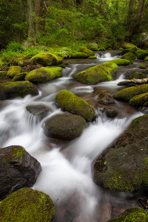 Roaring Fork