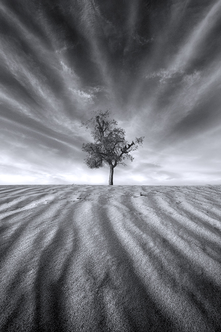 Appreciation
