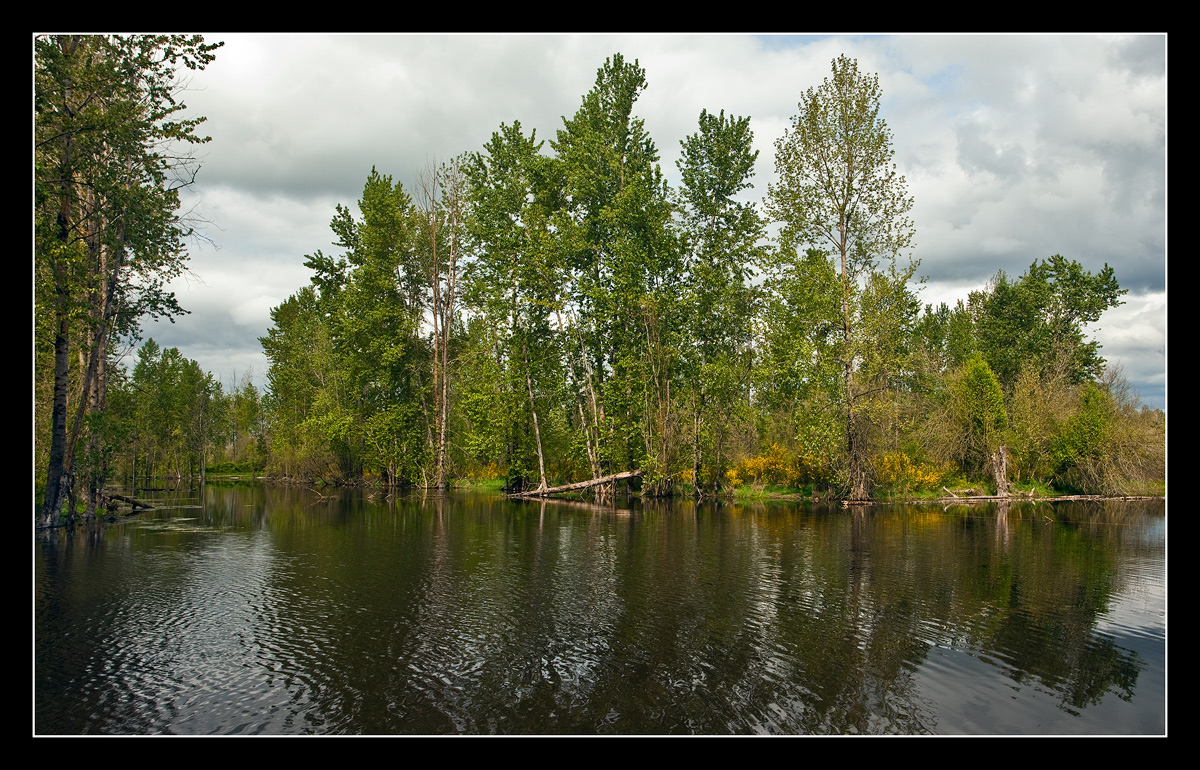 St Louis Fishing Pond 