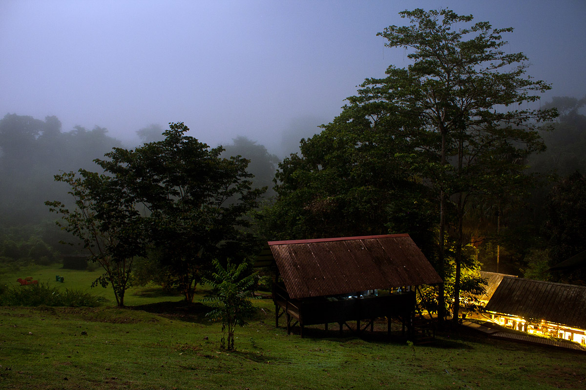 Rainforest camp