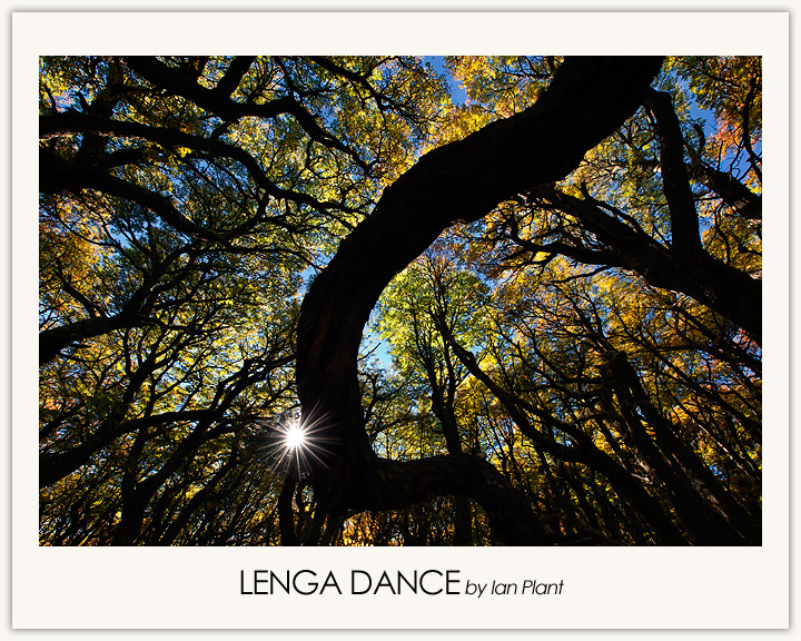 Lenga Dance