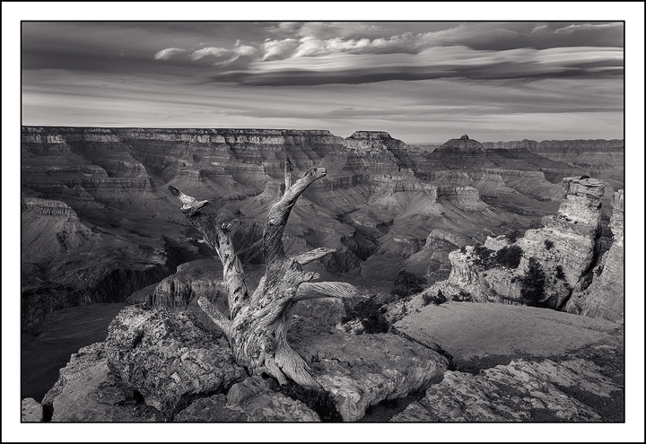 Weathered and Worn