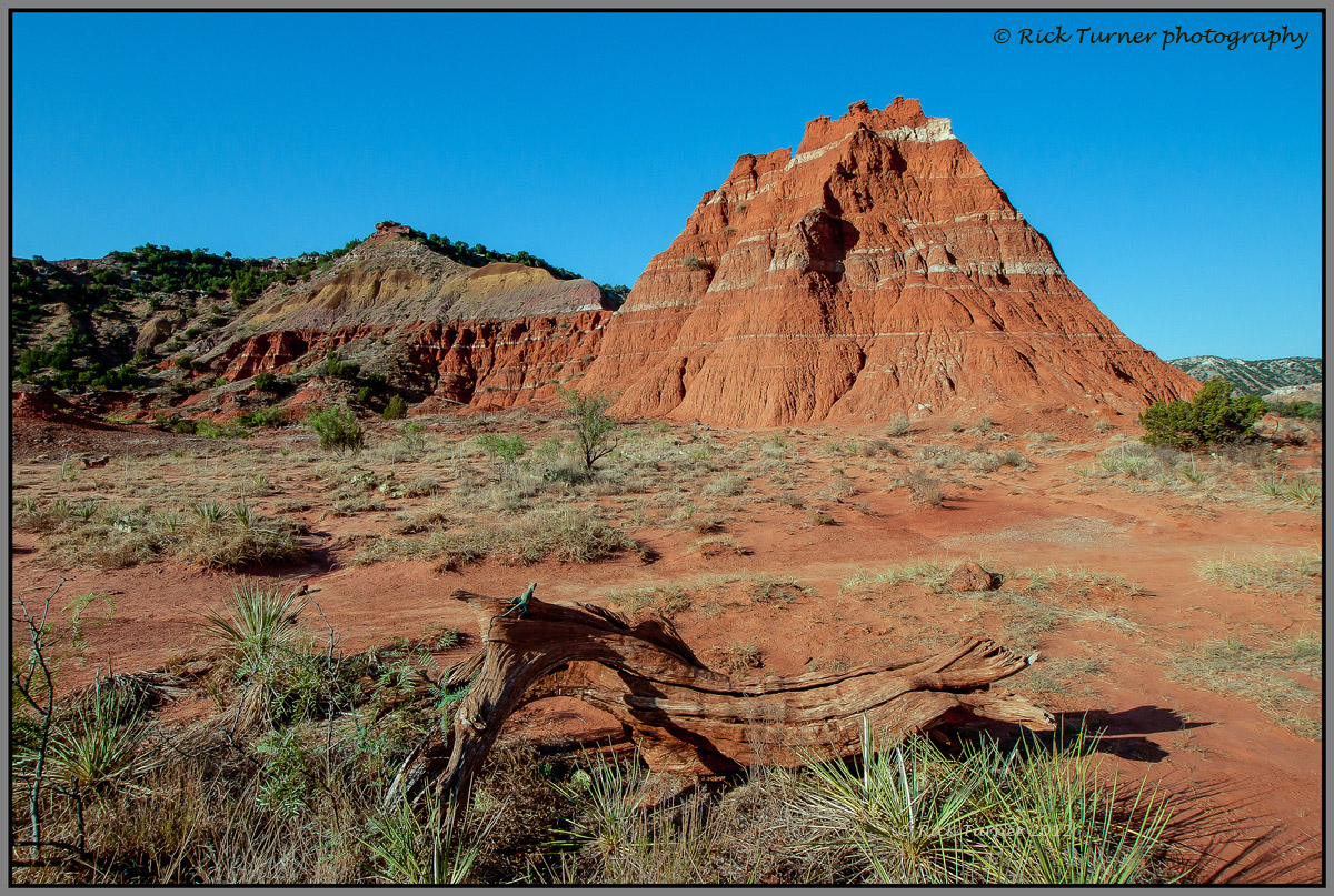 Palo duro Canyon