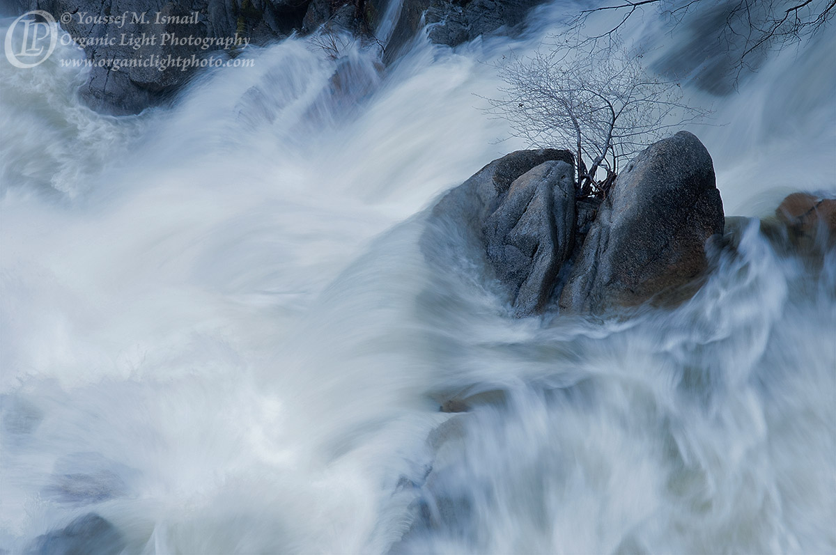 Cascade Creek