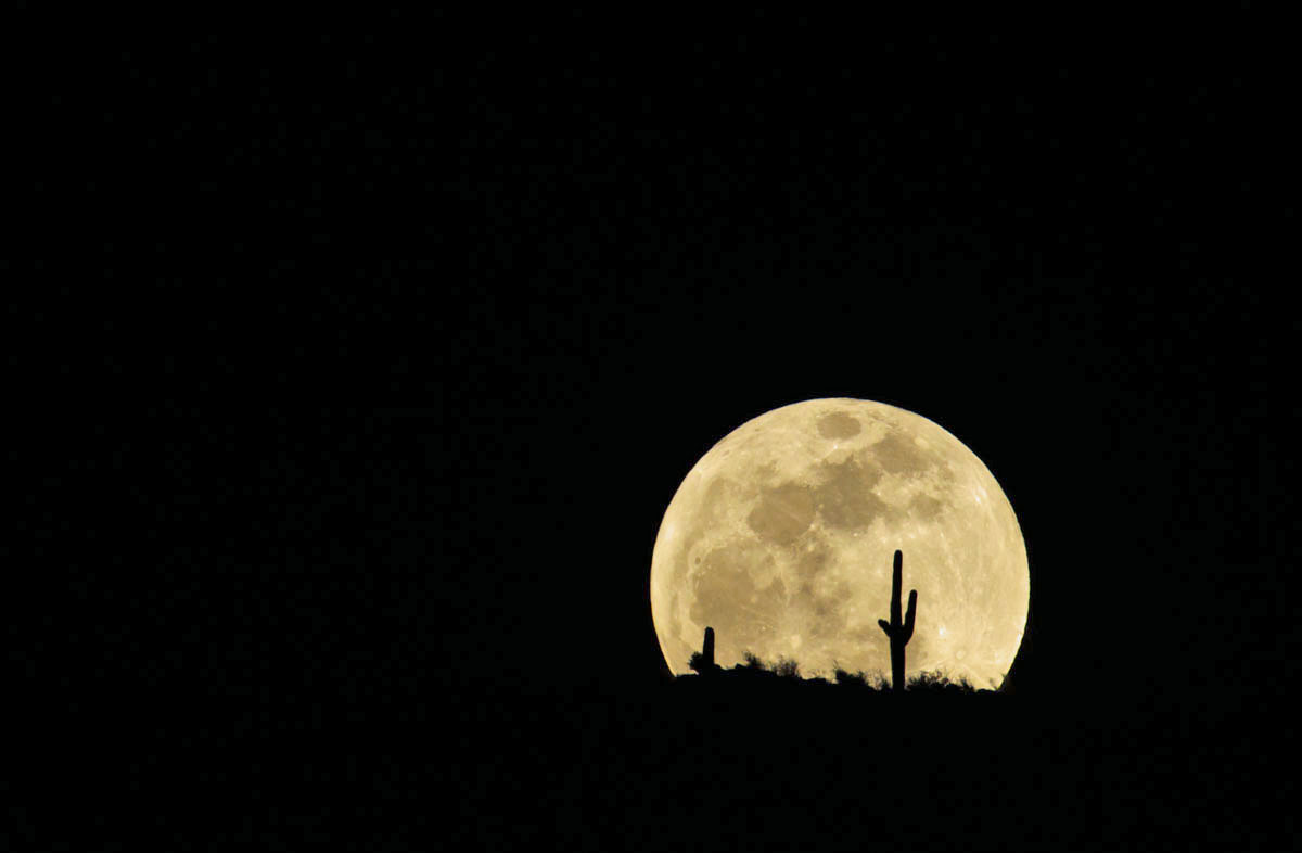 Perigree Moon Rising