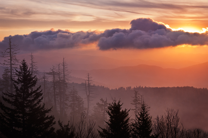 Smoky Mountain High