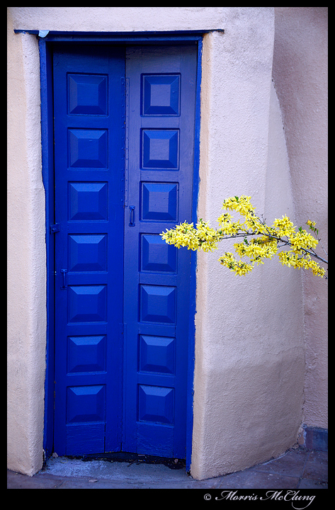 Ubiquitous Door