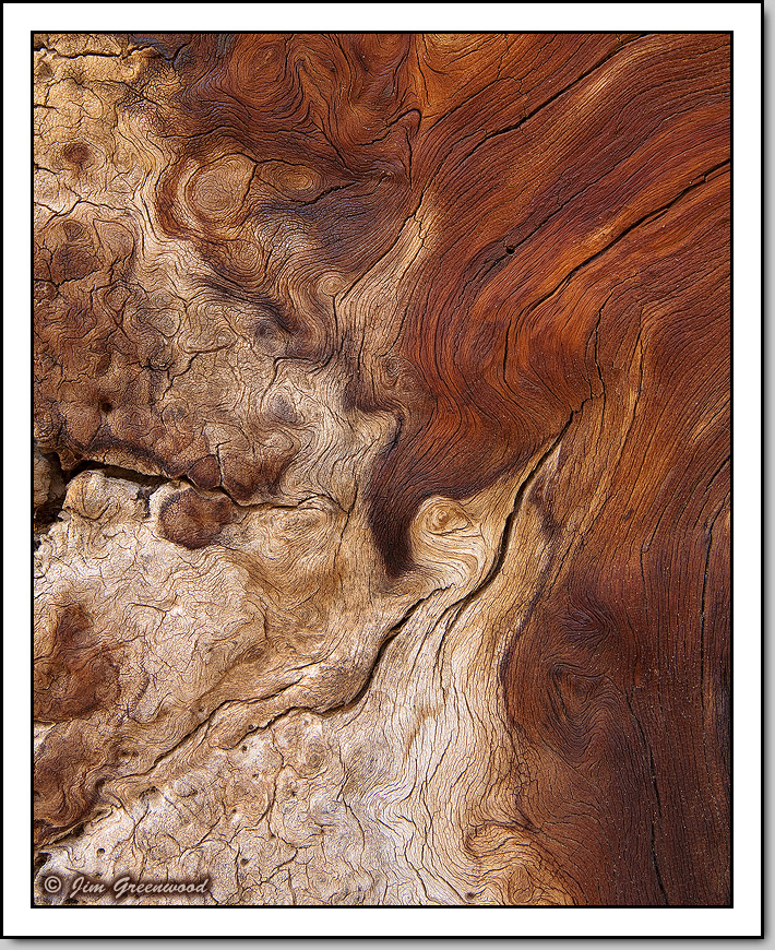WC #533 - Burl-esque