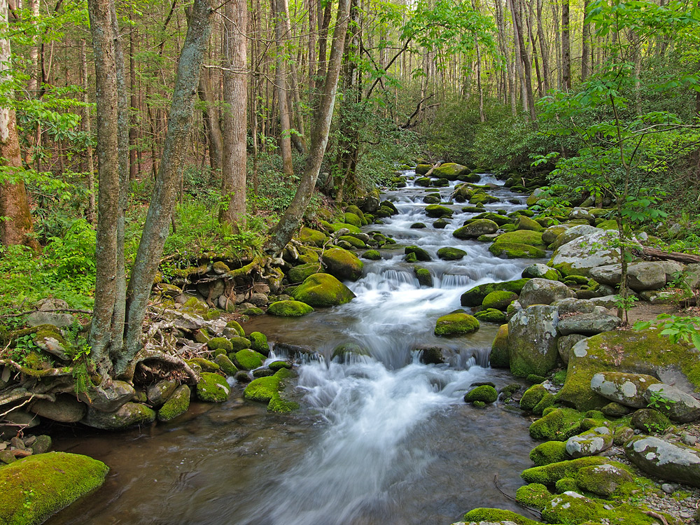 Another of Roaring Fork