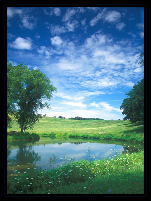  Roadside Pond WC#155