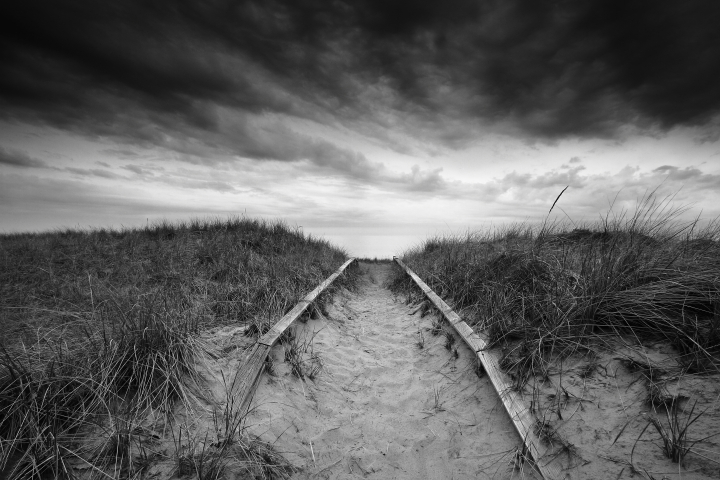 Dune Trail
