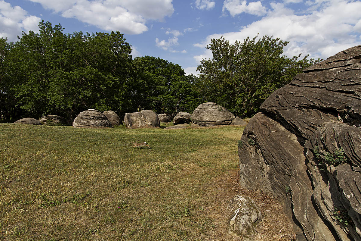 Rock City