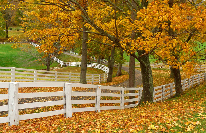 Fall in Virginia