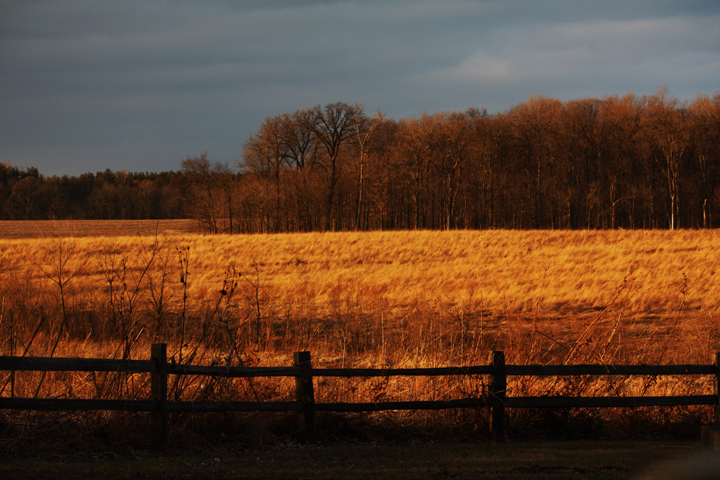 Fall Fence WC535 +repost