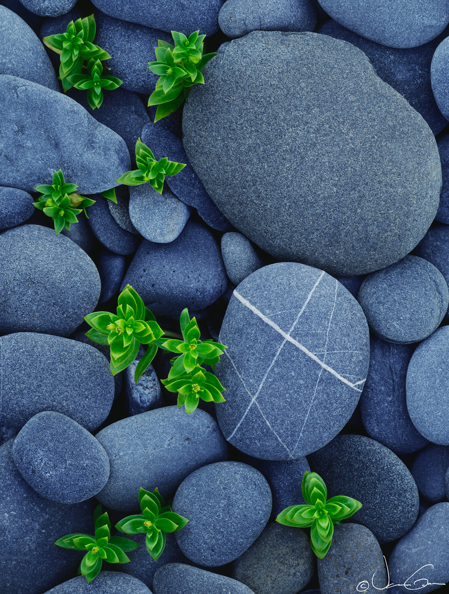 Beachstones