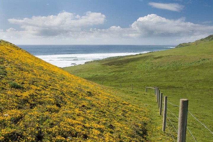 Kehoe Beach