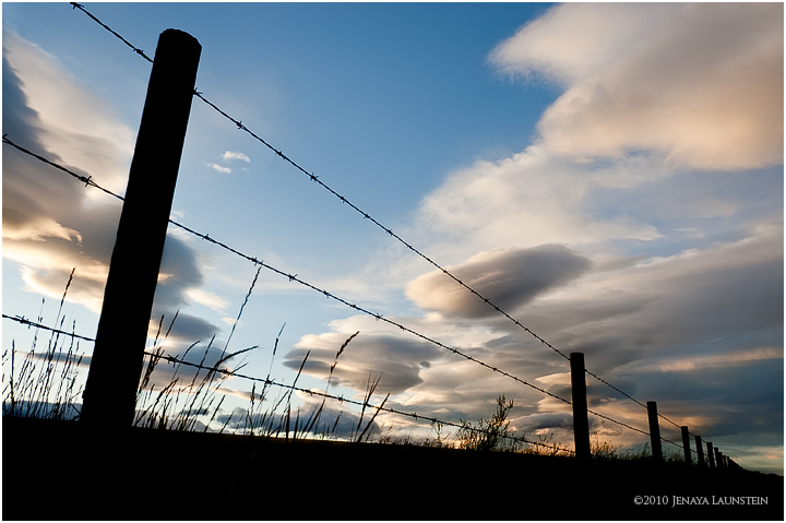 WC#535 - Alberta Skies
