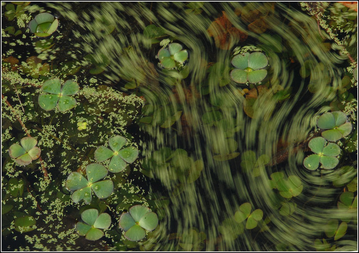 Green Flow