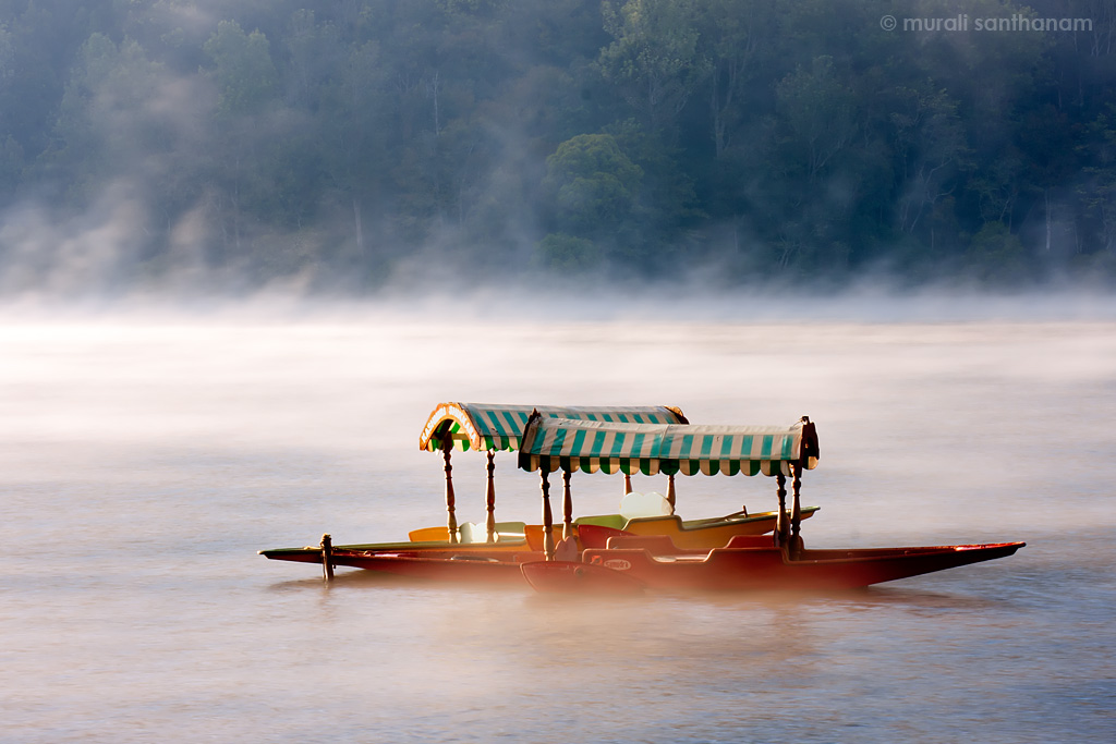 Lake at Munnar