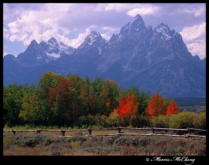 Teton Rouge