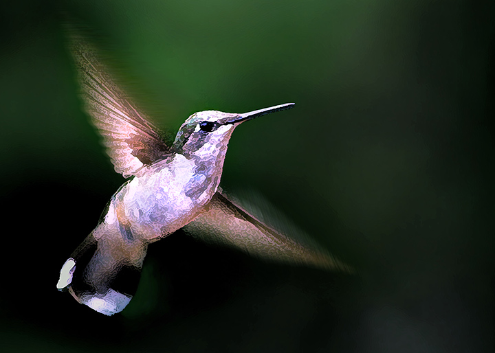 Hummer Ballet 1