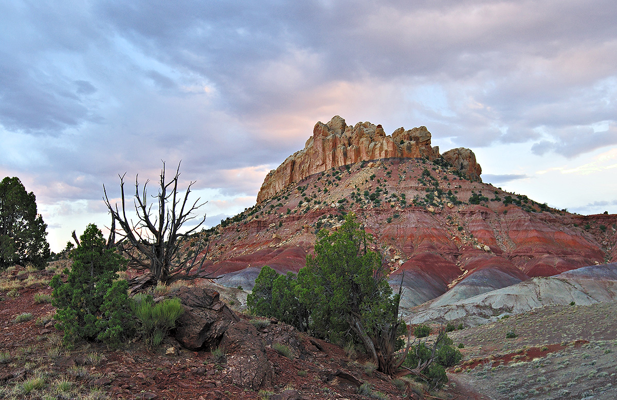 Circle Cliffs