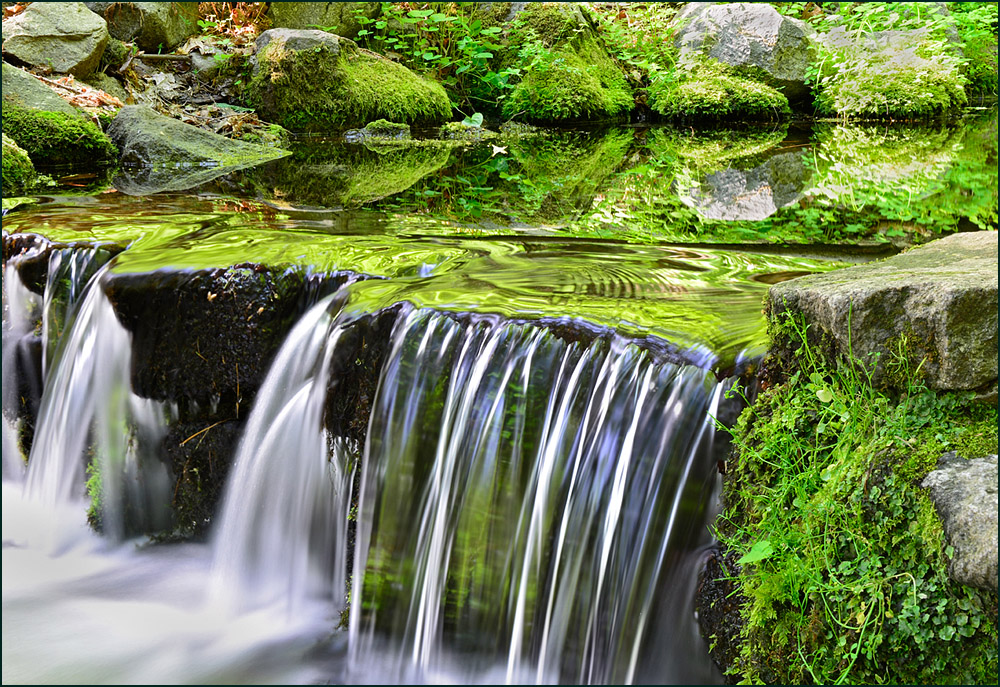 Spring Reflections